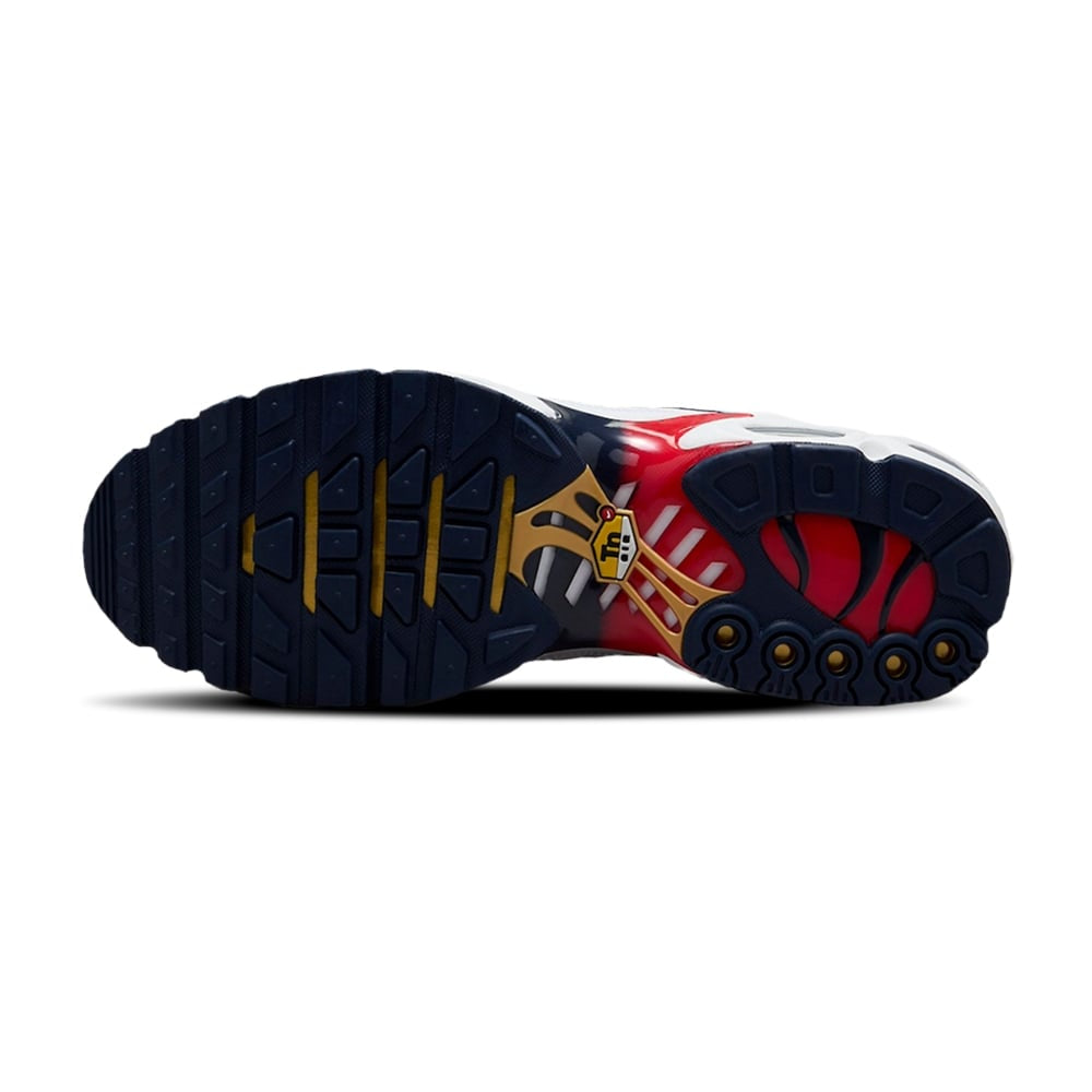Nike Air Max TN Plus “PSG”