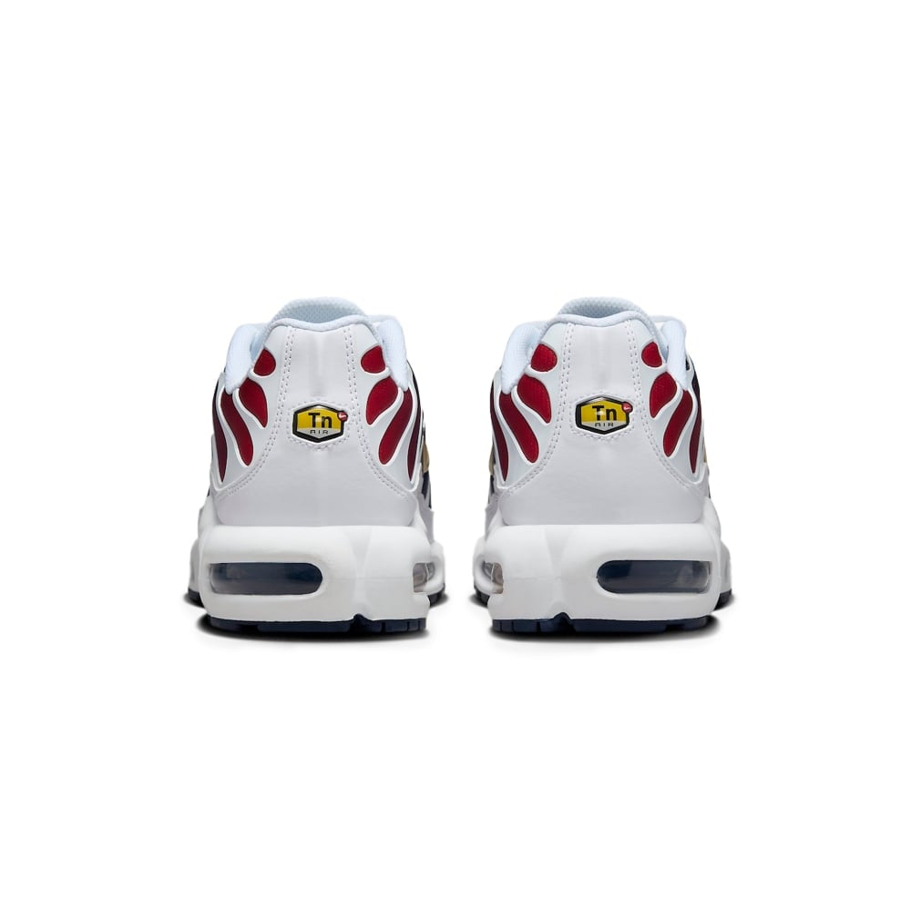 Nike Air Max TN Plus “PSG”