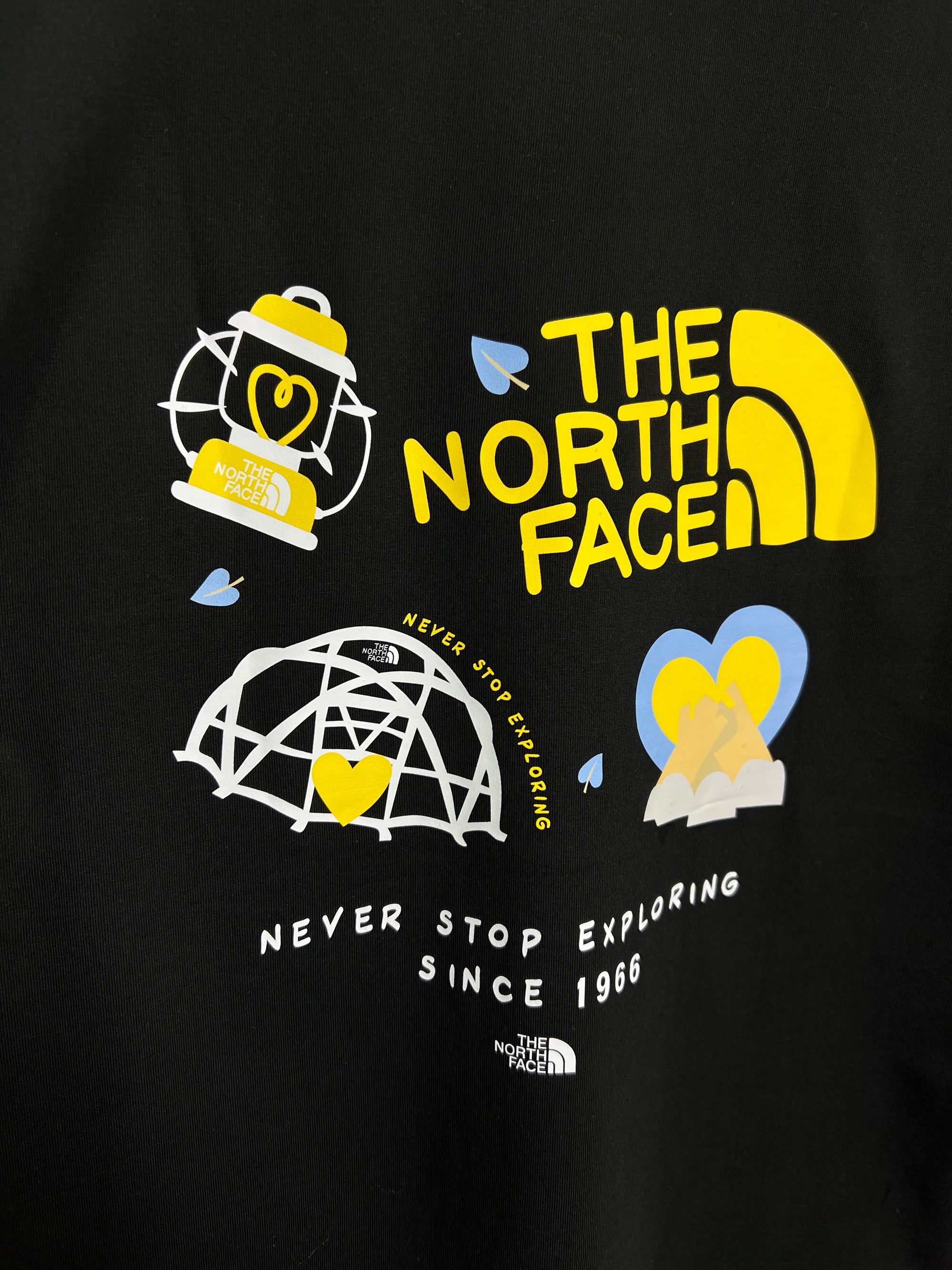 Camiseta The North Face - Importada