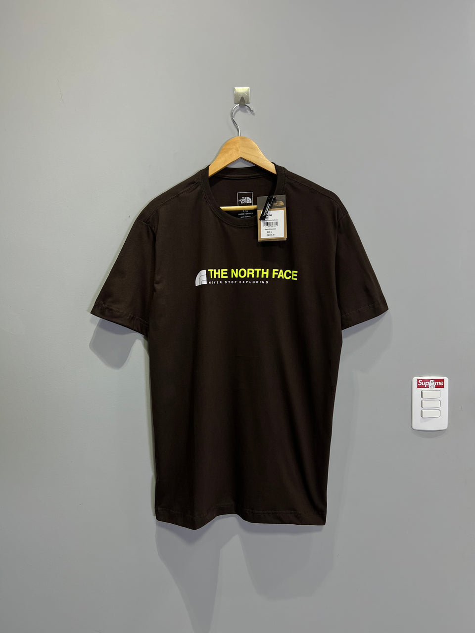 Camiseta The North Face Horizon - Marrom