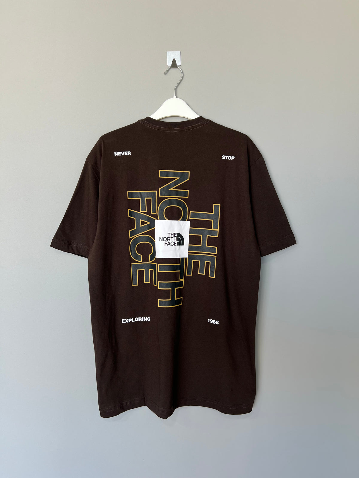 Camiseta The North Face Brand Proud Back Graphic - Marrom
