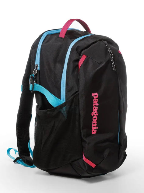 Mochila Patagonia Refugio Day Pack 23l