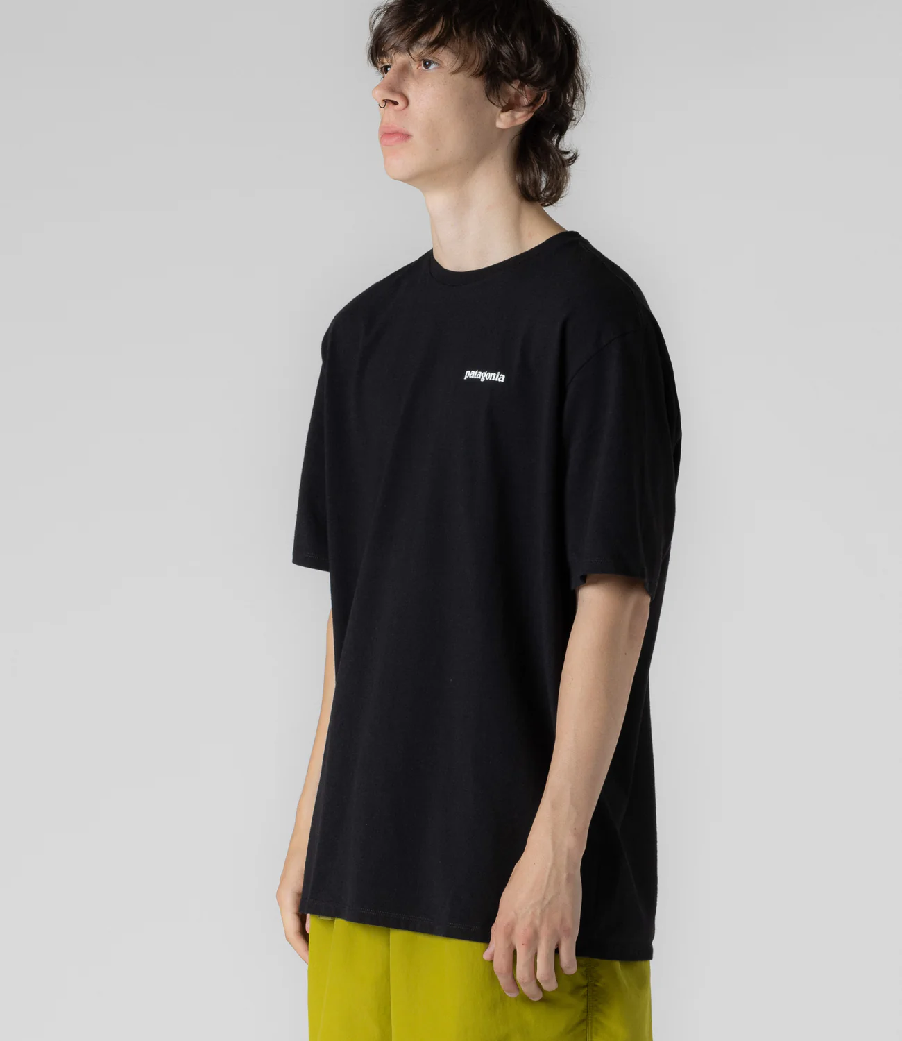 Camiseta Patagonia Responsibili-Tee® - Importada