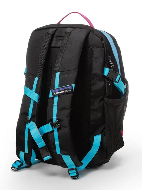 Mochila Patagonia Refugio Day Pack 23l