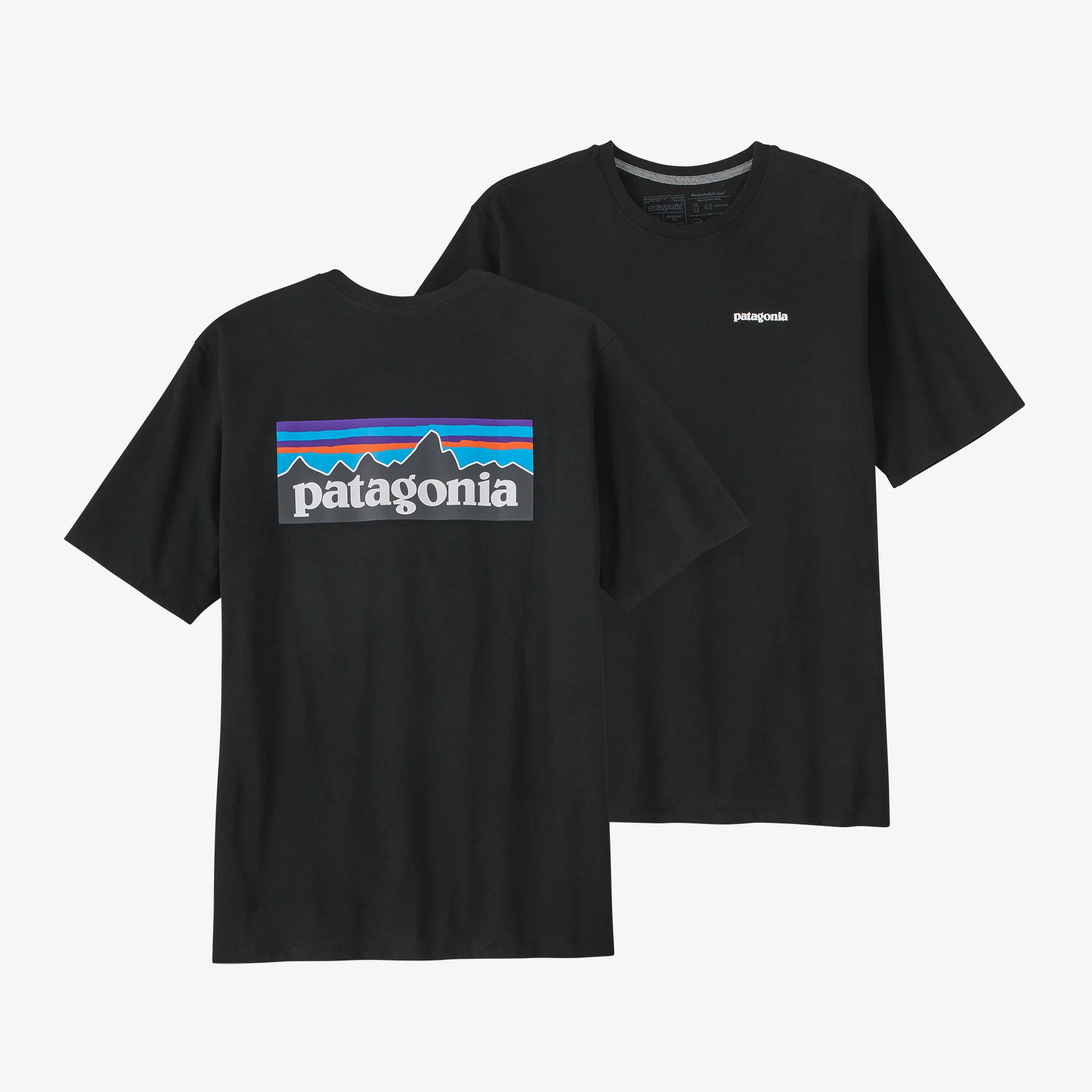 Camiseta Patagonia Responsibili-Tee® - Importada
