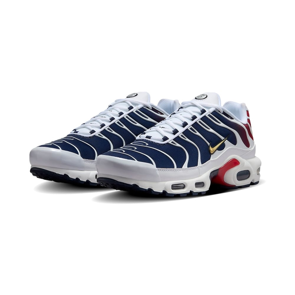 Nike Air Max TN Plus “PSG”