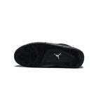 Air Jordan 4 Black Cat