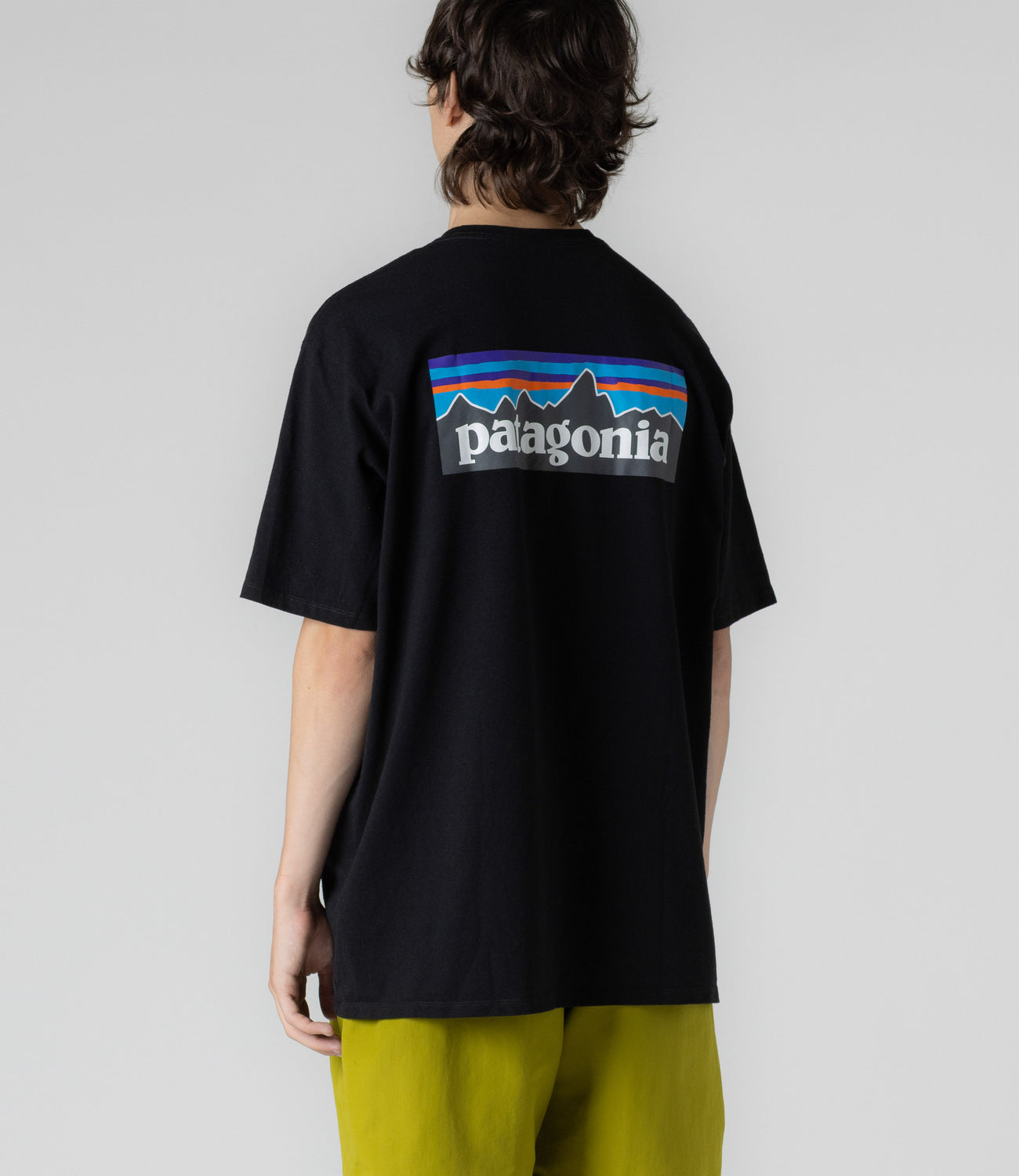 Camiseta Patagonia Responsibili-Tee® - Importada